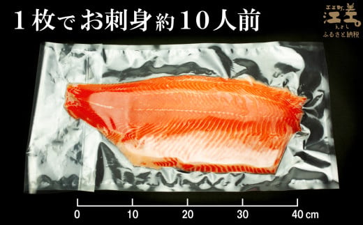 北海道江差町のふるさと納税 ＼配送月指定可／北海道産 サーモン フィレ 生食用 700g以上×2枚 皮なし・骨取り済 1尾分　1枚でお刺身10人前分くらい　日本海 かもめ島海面養殖　純国産 ブランドサーモン『江さしっ子 繁虎』　衝撃の口どけ　とろける脂　生食可　冷凍　トラウトサーモン　刺身　サーモンステーキ　カルパッチョ　海鮮　鮭　さけ　シャケ　しゃけ　さーもん