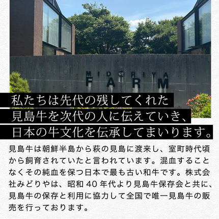 山口県萩市のふるさと納税 数量限定 牛肉 ばら カルビ 焼肉 400g