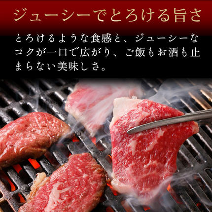 山口県萩市のふるさと納税 数量限定 牛肉 ばら カルビ 焼肉 400g