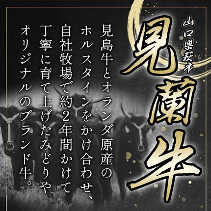 山口県萩市のふるさと納税 数量限定 牛肉 ばら カルビ 焼肉 400g