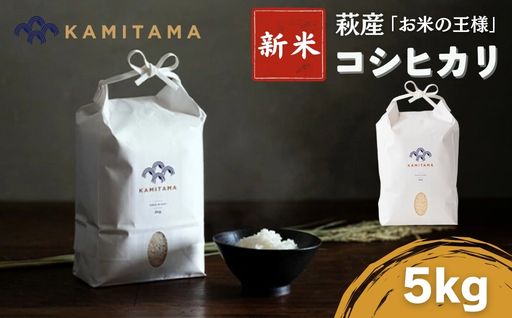 コシヒカリ 令和8年 5kg 米 コメ こ