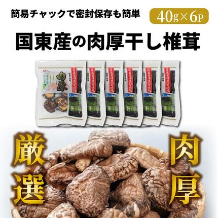 大分県国東市のふるさと納税 国東産の肉厚干し椎茸（どんこ）40g×6袋（チャック付き）_29058A