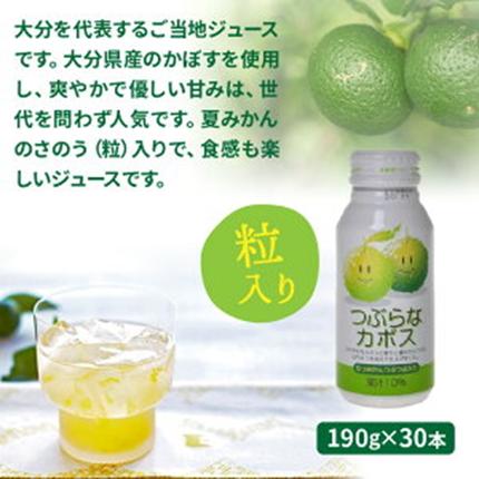 大分県国東市のふるさと納税 つぶらなカボス（30本）・通_29004A