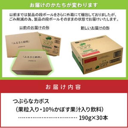 大分県国東市のふるさと納税 つぶらなカボス（30本）・通_29004A