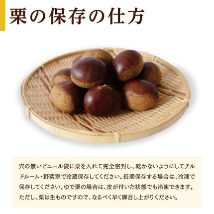 吉原農場 の 完熟栗 】 熟成 生栗 1kg Lサイズ ・ 焼き栗 2袋 セット