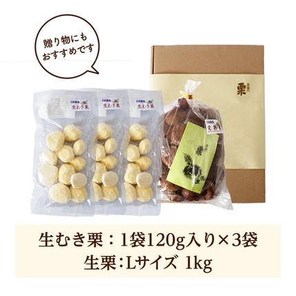 吉原農場 の 完熟栗 】 熟成 生栗 1kg Lサイズ ・ 生むき栗 3袋 セット