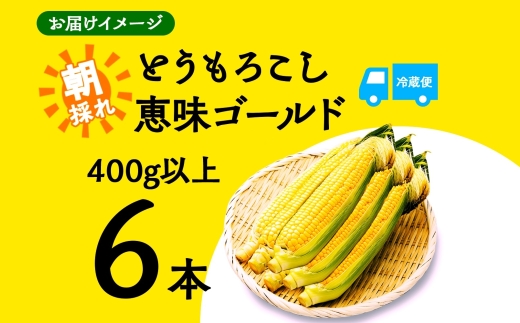 山梨県富士河口湖町のふるさと納税 ＜2026年発送先行予約＞とうもろこし 恵味 ゴールド 400g以上 × 6本 高糖度 トウモロコシ スイートコーン 玉蜀黍 イエローコーン 黄 夏野菜 甘い ジューシー 野菜 おやつ 旬 産地直送 送料無料 湖南野菜出荷組合 山梨県 富士河口湖町 FEM001