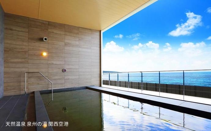 大阪府泉佐野市のふるさと納税 【8/1開催】ふるさと納税でフィギュア日本代表選手を応援,地域に貢献！2万円プラン（1名様） 全日本ジュニア合宿 フィギュアスケート 関空アイスアリーナ 099V053