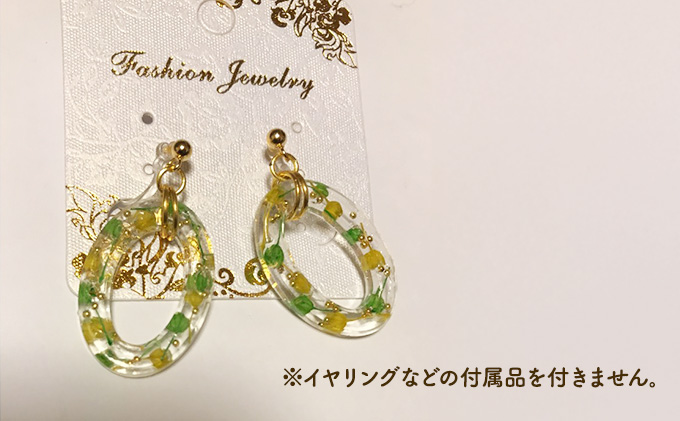 愛知県日進市のふるさと納税 レジン液 100g × 2本 セット 大容量 レジン UVレジン UVレジン液 LEDレジン UV LED クリア ハードタイプ 低粘度 シリコンモールド 手芸 クラフト 手作り 愛知 愛知県 日進市