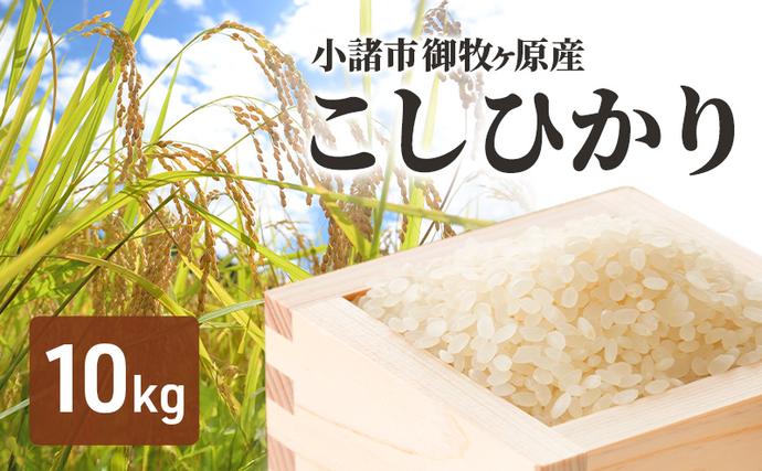 長野県小諸市のふるさと納税 小諸 御牧ヶ原産 こしひかり 10kg　長野 信州 コシヒカリ 精米 美味しいお米 お取り寄せ おこめ 白米