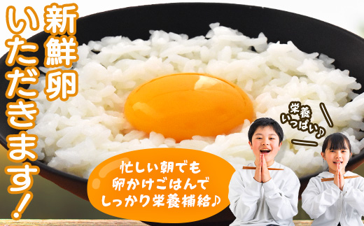 宮城県蔵王町のふるさと納税 【12か月連続お届け】眠れる森のたまご 朝採れ卵40個　たまご タマゴ 卵 鶏卵 濃厚 こだわり 新鮮 定期便　【04301-0799】