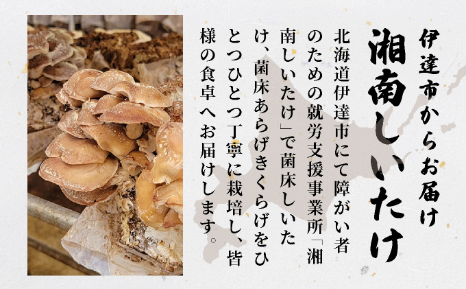 湘南しいたけ 乾燥 しいたけ 乾燥 きくらげ 乾物 しいたけ シイタケ