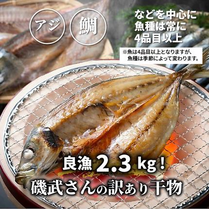 大分県国東市のふるさと納税 良漁2.3kg!磯武さんの訳あり干物_1020R