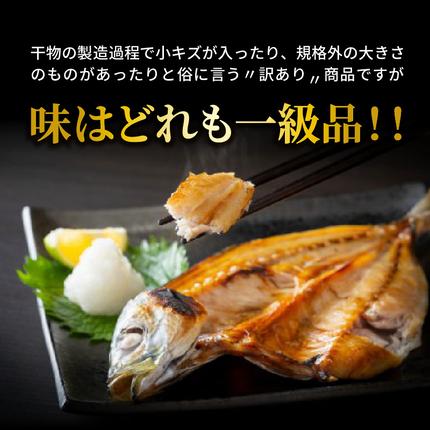 大分県国東市のふるさと納税 大漁4kg!磯武さんの訳あり干物_1021R