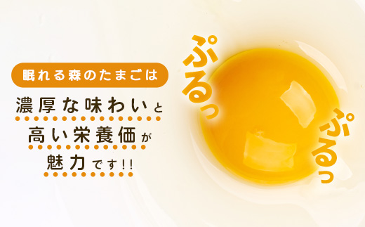 宮城県蔵王町のふるさと納税 【12か月連続お届け】眠れる森のたまご 朝採れ卵40個　たまご タマゴ 卵 鶏卵 濃厚 こだわり 新鮮 定期便　【04301-0799】