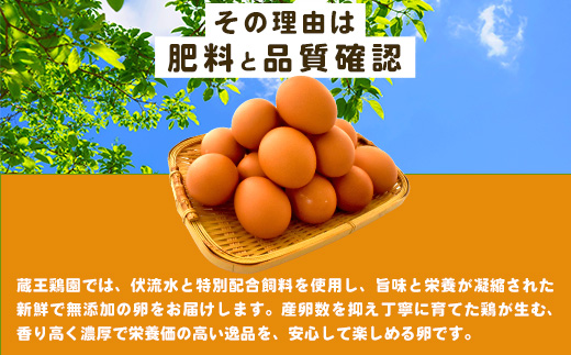 宮城県蔵王町のふるさと納税 【12か月連続お届け】眠れる森のたまご 朝採れ卵40個　たまご タマゴ 卵 鶏卵 濃厚 こだわり 新鮮 定期便　【04301-0799】