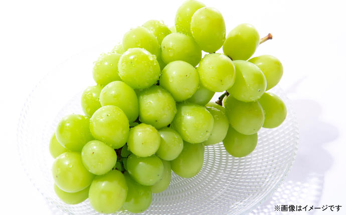 シャインマスカット