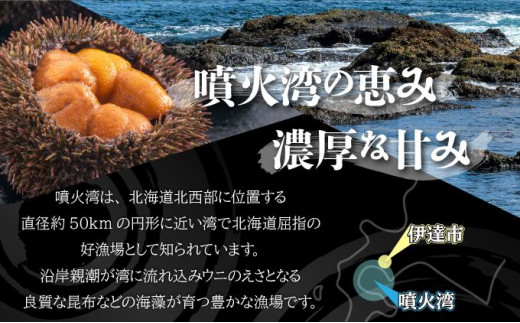 北海道伊達市のふるさと納税 【セゾン限定】訳あり 北海道 噴火湾産 塩水 バフンウニ 100g 2パック 計200g うに ウニ 雲丹 海鮮 海の幸 魚介類 ウニ丼 お寿司 濃厚 無添加 産地直送 お取り寄せ 山村水産 送料無料