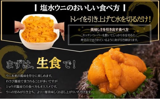 北海道伊達市のふるさと納税 【セゾン限定】訳あり 北海道 噴火湾産 塩水 バフンウニ 100g 2パック 計200g うに ウニ 雲丹 海鮮 海の幸 魚介類 ウニ丼 お寿司 濃厚 無添加 産地直送 お取り寄せ 山村水産 送料無料