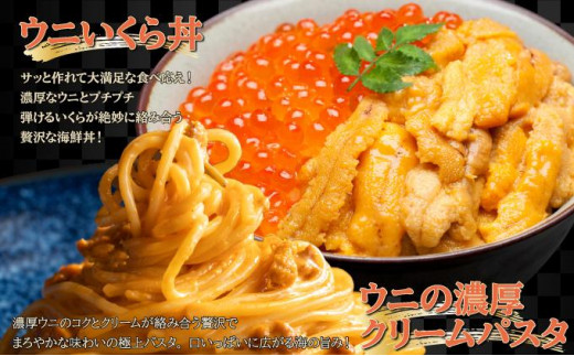 北海道伊達市のふるさと納税 【セゾン限定】訳あり 北海道 噴火湾産 塩水 バフンウニ 100g 2パック 計200g うに ウニ 雲丹 海鮮 海の幸 魚介類 ウニ丼 お寿司 濃厚 無添加 産地直送 お取り寄せ 山村水産 送料無料