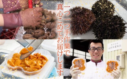 北海道伊達市のふるさと納税 【セゾン限定】訳あり 北海道 噴火湾産 塩水 バフンウニ 100g 2パック 計200g うに ウニ 雲丹 海鮮 海の幸 魚介類 ウニ丼 お寿司 濃厚 無添加 産地直送 お取り寄せ 山村水産 送料無料