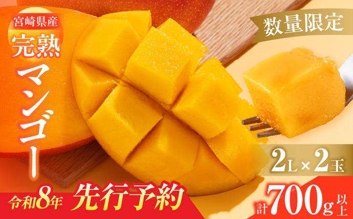 数量限定 宮崎県産 完熟マンゴー 2L×2