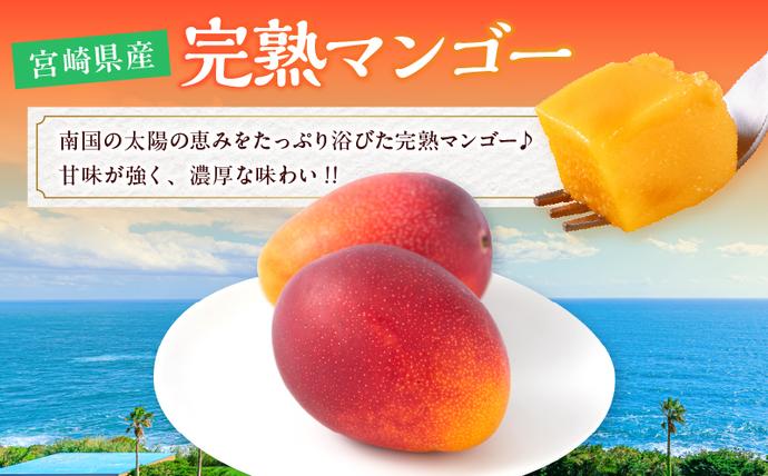 宮崎県日南市のふるさと納税 数量限定 宮崎県産 完熟マンゴー 2L×2玉 計700g以上 期間限定 フルーツ スイーツ 果物 くだもの 食品 グルメ デザート 国産 産地直送 人気 おすすめ おやつ 高級 ご褒美 贅沢 贈り物 ギフト プレゼント 令和8年発送分 宮崎県 日南市 送料無料_C142-25