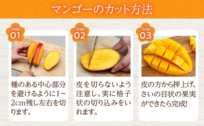 宮崎県日南市のふるさと納税 数量限定 宮崎県産 完熟マンゴー 2L×2玉 計700g以上 期間限定 フルーツ スイーツ 果物 くだもの 食品 グルメ デザート 国産 産地直送 人気 おすすめ おやつ 高級 ご褒美 贅沢 贈り物 ギフト プレゼント 令和8年発送分 宮崎県 日南市 送料無料_C142-25