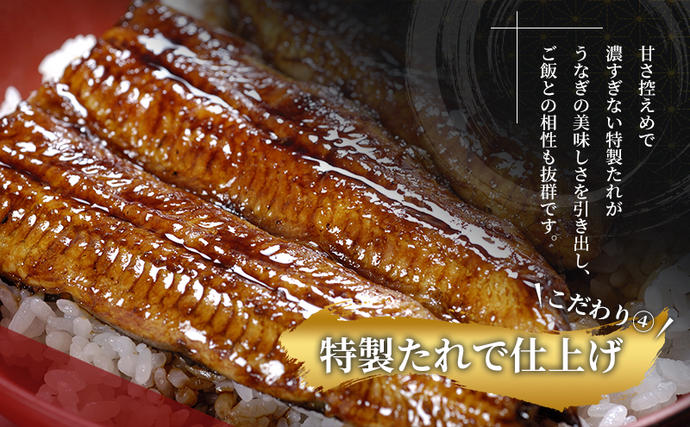 静岡県浜松市のふるさと納税 国産 浜名湖産うなぎ 蒲焼き 2尾（約100g×2尾）山椒たれ付き 国産うなぎ 浜名湖うなぎ 海老仙 静岡 浜松市