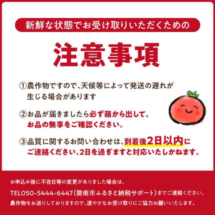 愛知県碧南市のふるさと納税 【2026年度予約分】【お試し】幻のミニトマト??トマトベリー約800g 長田農園 野菜ソムリエサミット 金賞 受賞 産地直送 トマト とまと 野菜 やさい フルーツ サラダ 濃厚 甘い ご褒美 プレゼント 美容 健康 リピート多数 人気 高評価 先行受付 数量限定 碧南市 H004-114