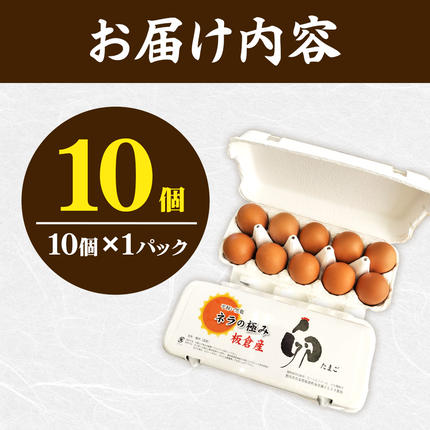 ネラの極み 卵 たまご 10個（10個×1パック） / 群馬県板倉町 | セゾン