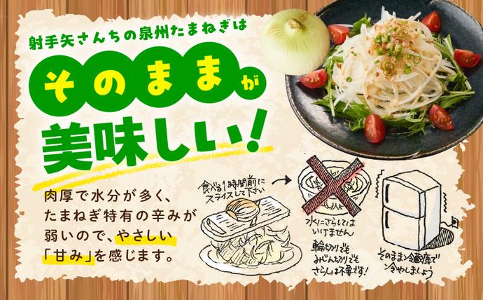 大阪府泉佐野市のふるさと納税 【先行予約】射手矢さんちの泉州たまねぎ 10kg【玉ねぎ タマネギ 玉葱 甘い 野菜 国産 期間限定 オニオン スライス サラダ カレー シチュー バーベキュー BBQ 肉じゃが TVで紹介！】 G3686