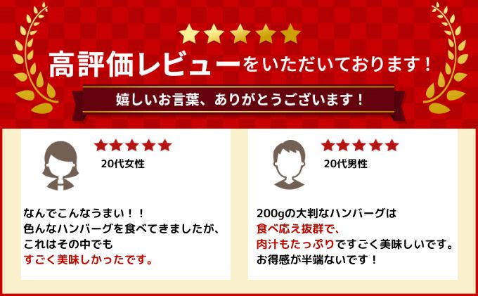 北海道幕別町のふるさと納税 [大人気ハンバーグの定期便] 全2回/2ヶ月毎 合計20個 北海道 十勝牛 手ごねハンバーグ 200g×10個【 セット 牛100% 国産牛 牛肉 ハンバーグ パティ パテ 惣菜 小分け 冷凍 大きい 国産 北海道 十勝 幕別 ふるさと納税 送料無料 】