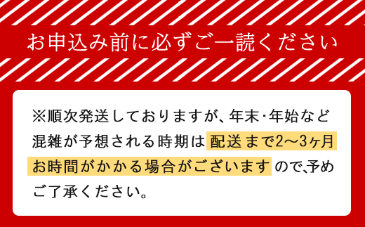 北海道幕別町のふるさと納税 [大人気ハンバーグの定期便] 全2回/2ヶ月毎 合計20個 北海道 十勝牛 手ごねハンバーグ 200g×10個【 セット 牛100% 国産牛 牛肉 ハンバーグ パティ パテ 惣菜 小分け 冷凍 大きい 国産 北海道 十勝 幕別 ふるさと納税 送料無料 】