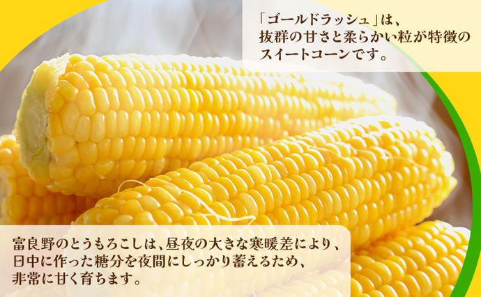 北海道富良野市のふるさと納税 【2026年発送】富良野産 とうもろこし ゴールドラッシュ 約10本 コーン とうきび トウモロコシ 2Lサイズ 野菜 甘い BBQ 北海道 富良野 ふらの