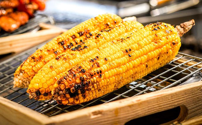 北海道富良野市のふるさと納税 【2026年発送】富良野産 とうもろこし ゴールドラッシュ 約10本 コーン とうきび トウモロコシ 2Lサイズ 野菜 甘い BBQ 北海道 富良野 ふらの