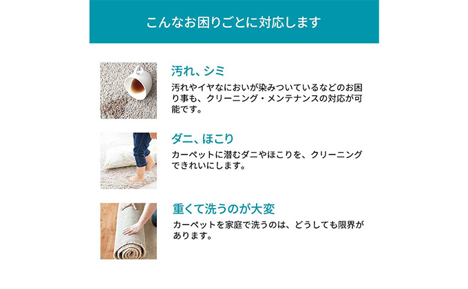 静岡県袋井市のふるさと納税 クリーニング 絨毯 クリーニングクーポン リナビス ラグ カーペット 玄関マット 電気カーペット 洗濯 防ダニ 高品質 せんたく便 宅配クリーニング チケット 券 サービス 静岡 静岡県 袋井市