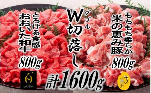 おおいた和牛＆米の恵み豚W切り落しセット1