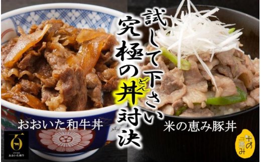 大分県国東市のふるさと納税 おおいた和牛＆米の恵み豚W切り落しセット1.6kg