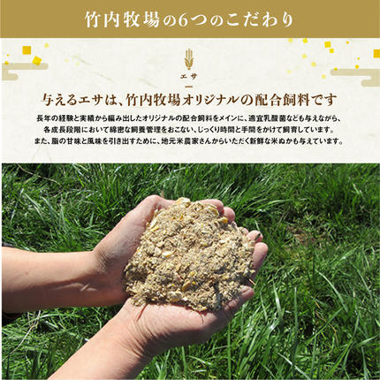 松阪牛 サーロイン ブロック 1kg 国産牛 和牛 ブランド牛 松阪牛 JGAP