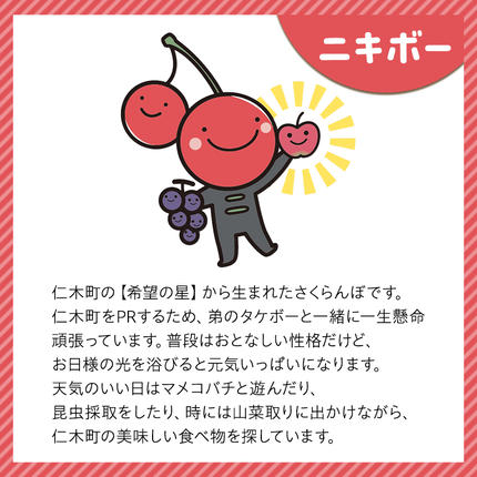 ニキボー】グッズ詰め合わせセットA（ステッカー・ハンドタオル