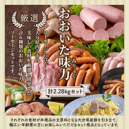 大分県国東市のふるさと納税 大満足2.28kg!おおいた味力ソーセージセット_1307R