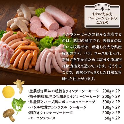 大分県国東市のふるさと納税 大満足2.28kg!おおいた味力ソーセージセット_1307R