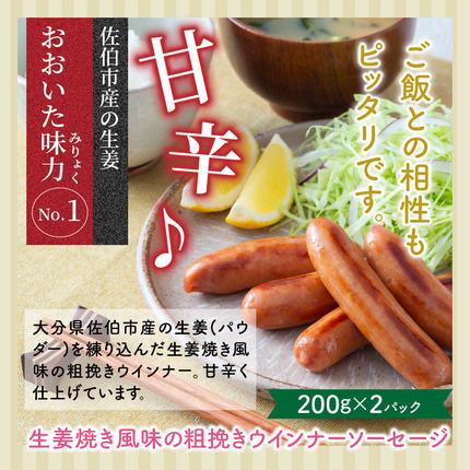 大分県国東市のふるさと納税 大満足2.28kg!おおいた味力ソーセージセット_1307R
