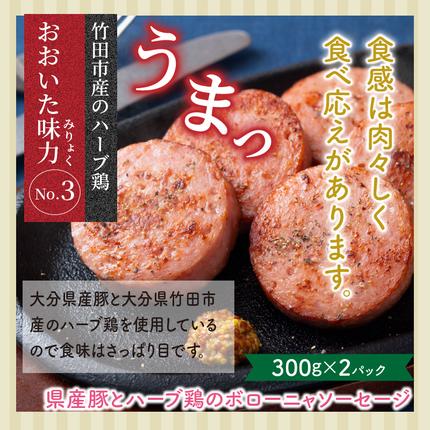 大分県国東市のふるさと納税 大満足2.28kg!おおいた味力ソーセージセット_1307R