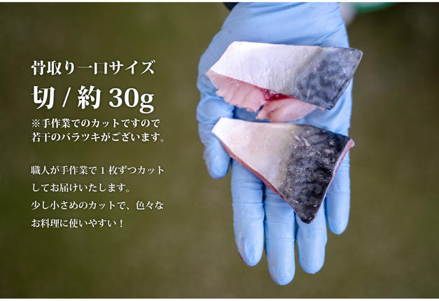 宮城県名取市のふるさと納税 魚のおんちゃま 三陸常磐産 サバ 骨取切り身 30g×20枚入