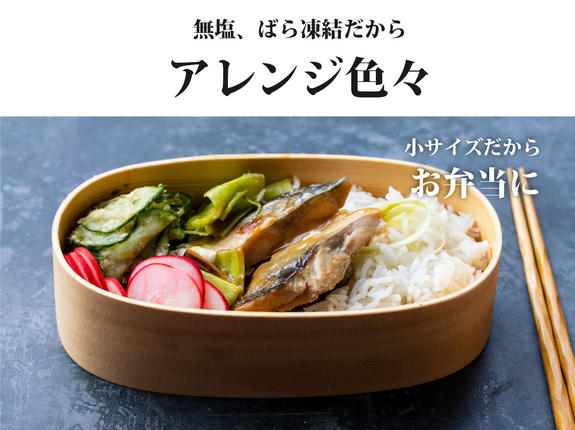 宮城県名取市のふるさと納税 魚のおんちゃま 三陸常磐産 サバ 骨取切り身 30g×20枚入