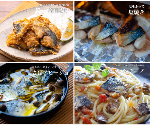 宮城県名取市のふるさと納税 魚のおんちゃま 三陸常磐産 サバ 骨取切り身 30g×20枚入