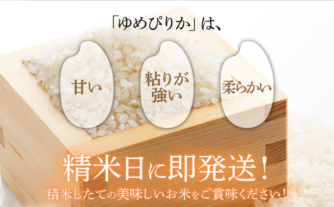 北海道伊達市のふるさと納税 令和7年産 《9月20日発送開始》ゆめぴりか精米 5kg 生産者直送 北海道伊達産 | 北海道のブランド米 もっちり食感 冷めても美味しい