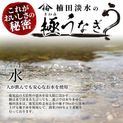 鹿児島県志布志市のふるさと納税 【定期便全3回】お手軽に楽しめるうなぎ定期便！（計1.04kg以上）t0046-004